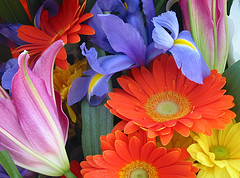hurtownia florystyczna